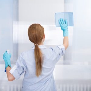 Allegrini Dik Vetri Detergente per Vetri e Superfici Dure Vari Formati - 3