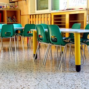 Allegrini Saniquat Casa Detergente Disinfettante per Superfici PMC 1 Lt o 5 Kg - 2