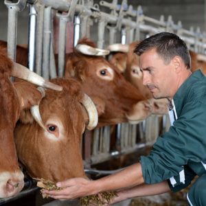 Allegrini Maniguard Igienizzante Detergente Neutro per le Mani 5 Kg - 4