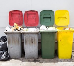 Allegrini Odour Control Elimina Odori a Base di Zinco 750 Ml - 2