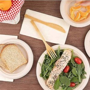 Piatto Tondo Piano Monouso in Polpa di Cellulosa Compostabile Ø155 mm 50 PZ - 2