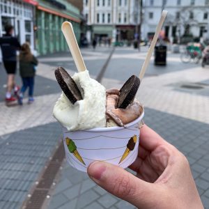 Palette Gelato in PLA Biodegradabili Imbustate Singolarmente 10 Cm 250 Pezzi - 2