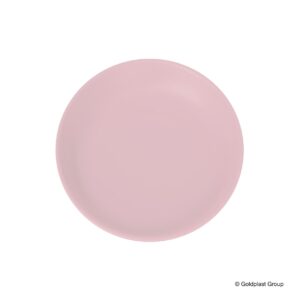 Piatto Piano Mineral PP Tipo Melamina Riutilizzabile  208 mm - 1 Pz Vari Colori - 5