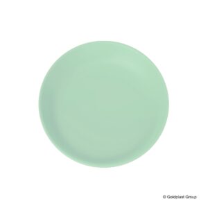 Piatto Piano Mineral PP Tipo Melamina Riutilizzabile  208 mm - 1 Pz Vari Colori - 7