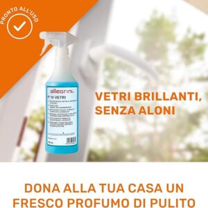 Allegrini IP 10 Vetri Detergente Vetri e Superfici Lavabili 750 Ml - 2
