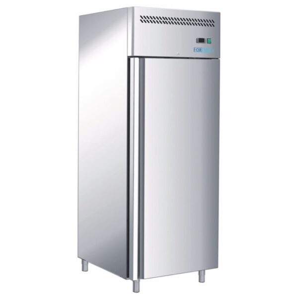 Armadio Refrigerato Ventilato -18°-22°C con Guide Stampate 6608301985 mm