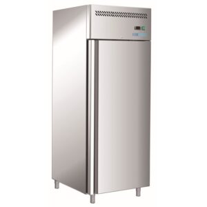 Armadio Refrigerato Ventilato Negativo BT Monoblocco con Guide Stampate 530 L M-