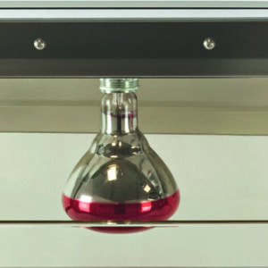 Lampada a Infrarossi da Appendere 1 Lampada 250 W PIA4714