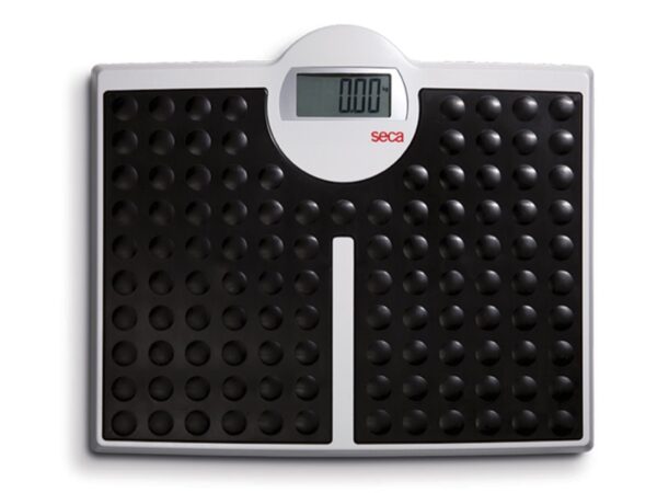 Seca 813 Bilancia Digitale Piatta Elettronica fino a 200 kg