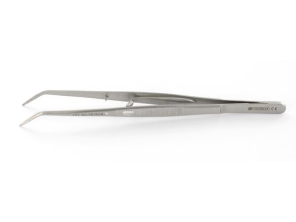 Pinzetta London College in Acciaio Inox - 15 cm - 40 pezzi