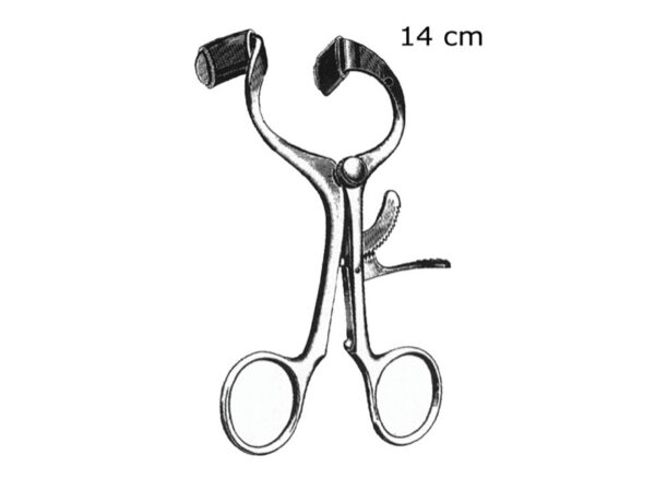 Apribocca Molt in Acciaio Inox - 14 cm - 6 pezzi