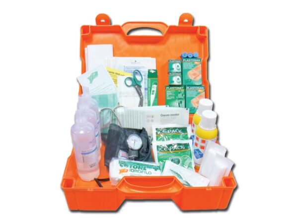 Kit Pronto Soccorso Grande, Cassetta Plastica 1, 460x345x135 mm - 2 pz