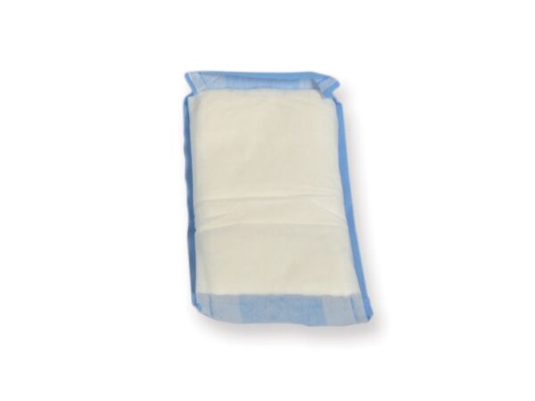 Tamponi Assorbenti Pads Sterili 10x20 cm per Suture e Ferite Croniche - 450 pezz
