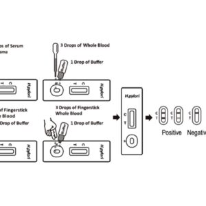 Test Rapido Helicobacter Pylori per Sangue Siero o Plasma - 120 pezzi - 2