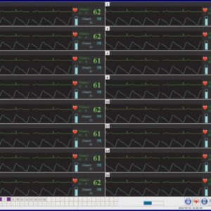Software Central Station per Monitoraggio Multiparametrico - 1