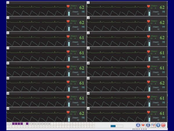 Software Central Station per Monitoraggio Multiparametrico