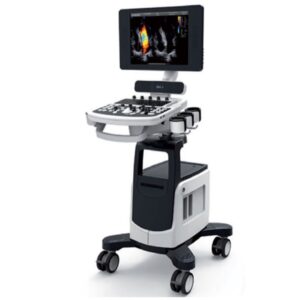 Chison Ecografo a Colori QBit5 Schermo LED 15" con Carrello e 2 Connettori Sonda - 1