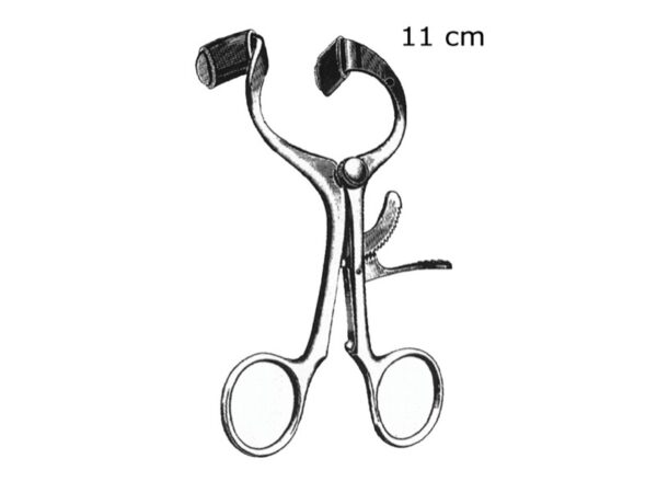 Apribocca Molt in Acciaio Inox 11 cm - 8 pezzi