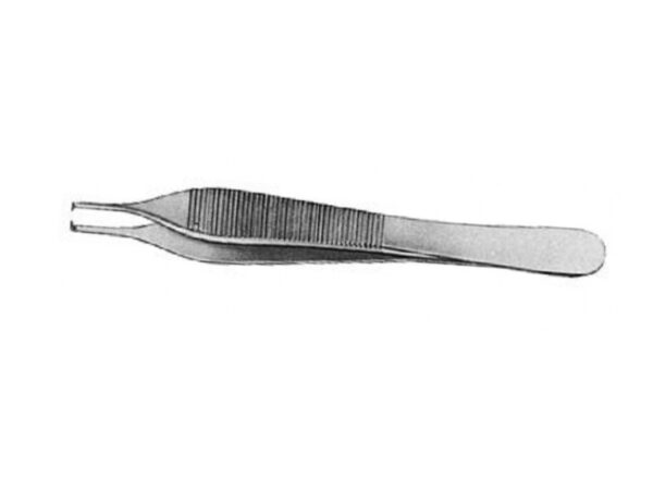 Pinza Adson in Acciaio Inox 12 cm 1x2 Denti - 60 pezzi