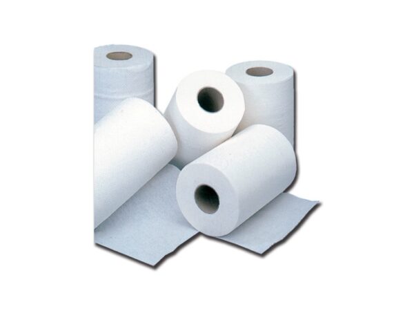 Salviettine a Rotolo in Pura Cellulosa 2 Veli 36 g/m - 72 rotoli