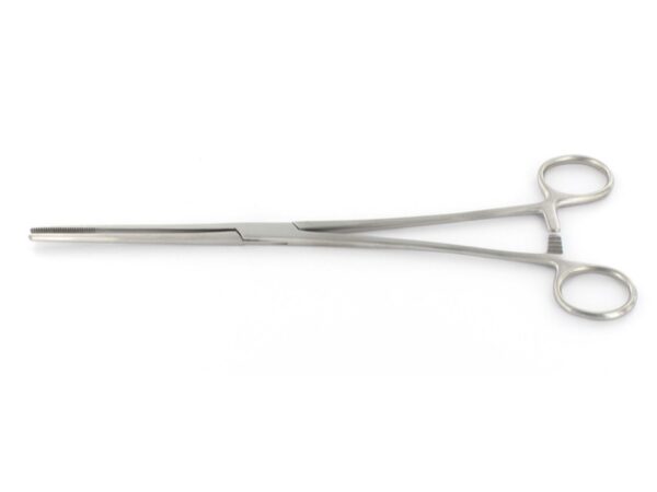 Pinza Bozeman Retta per Medicazione Ginecologica 26 cm - 12 pezzi