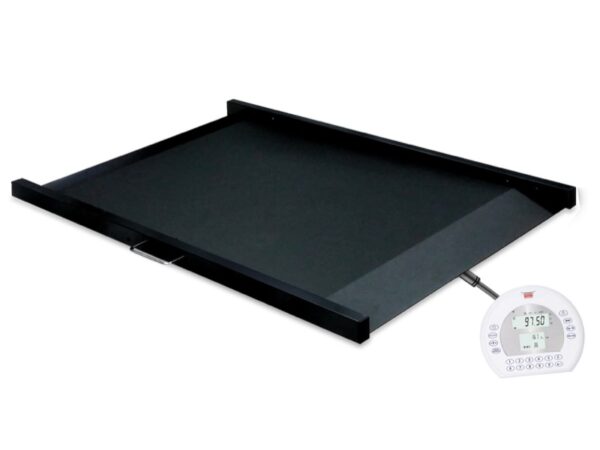 Wunder Piattaforma Pesacarrozzine RW02 con Doppia Rampa 300 kg - Classe III
