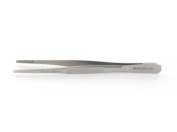 Pinza Anatomica in Acciaio Inox 16 cm - 50 pezzi