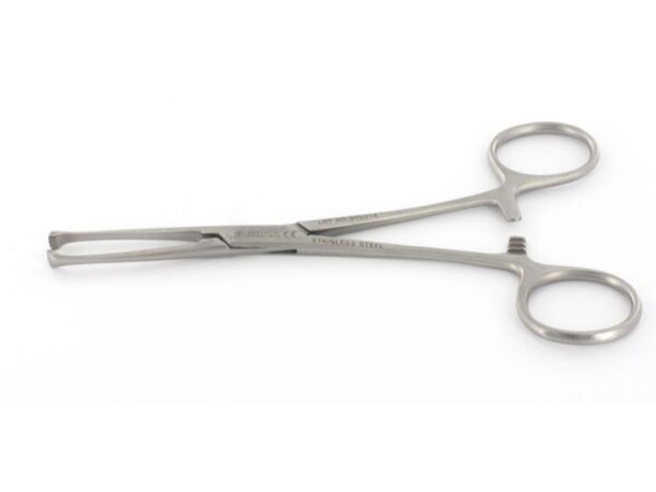 Pinza Reggiteli Allis in Acciaio Inox 15 cm 4x5 Denti - 25 pezzi