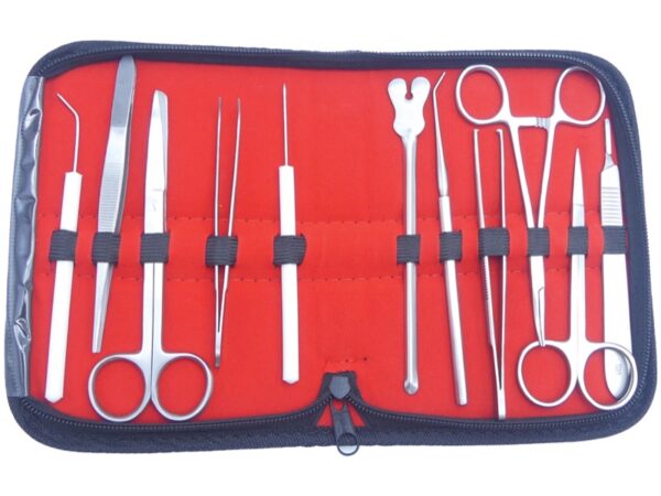 Kit Dissezione in Acciaio Inox AISI 202 per Esercitazione 11 pezzi - 10 kit