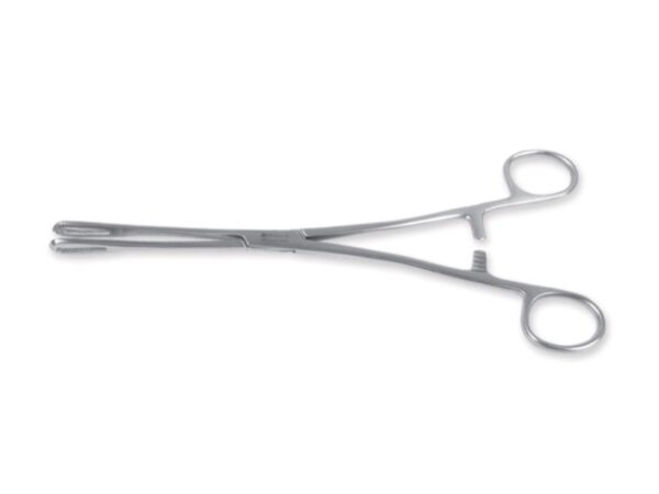 Pinza Rampley in Acciaio Inox - 18 cm - 15 pezzi