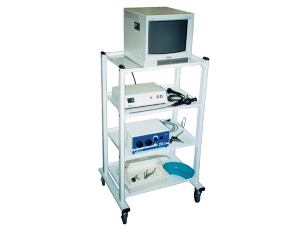 Carrello Excel 4 Ripiani 60x45 cm - 67x69x110 cm