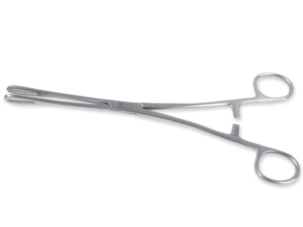 Pinza Rampley in Acciaio Inox 24 cm - 12 pezzi