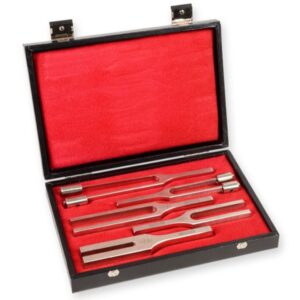 Trousse 5 Diapason in Lega per Otorino 128 Hz, 256 Hz, 512 Hz, 1024 Hz, 2048 Hz - 2