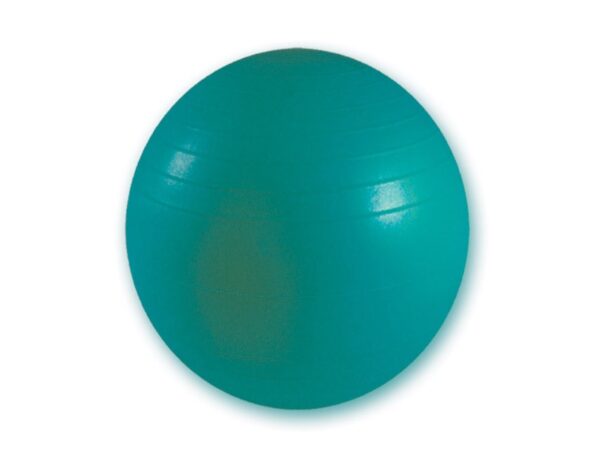 Palla Resistente per Fisioterapia Diametro 65 cm Verde Antiscoppio - 6 pezzi