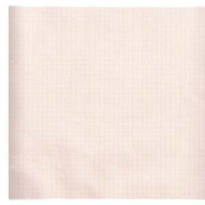 Carta Termica ECG 210x30 mm Griglia Arancio Phenol Free a Rotolo - 30 rotoli
