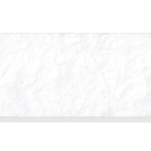 Carta Termica Spirometro Cosmed Pony FX 112x13 mm Phenol Free - 125 rotoli