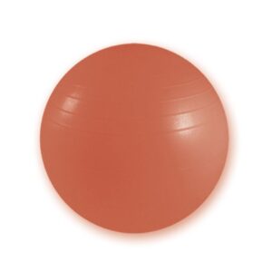 Palla da Fisioterapia Resistente Antiscoppio Diametro 55 cm Rossa - 8 pezzi - 1