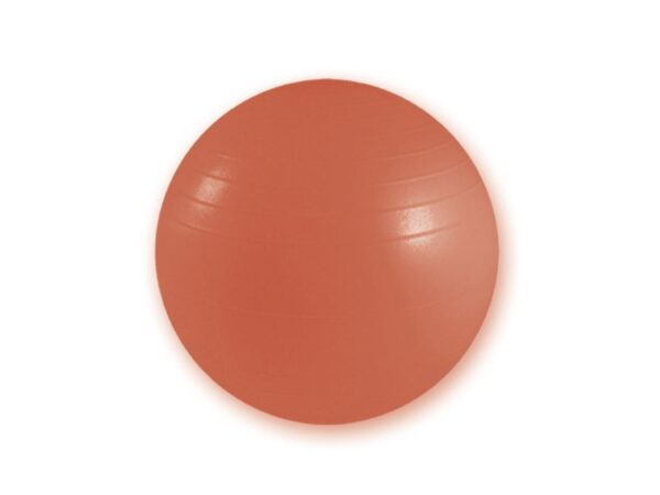 Palla da Fisioterapia Resistente Antiscoppio Diametro 55 cm Rossa - 8 pezzi