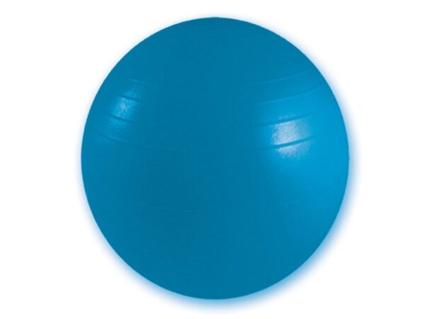 Palla Resistente da Fisioterapia Diametro 75 cm Blu Antiscoppio - 5 pezzi
