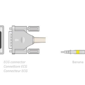 Cavo Paziente ECG 10 Derivazioni 2,2 m - Connettore a Banana - Compatibile Schil