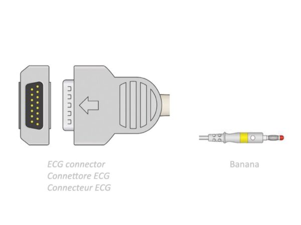 Cavo Paziente ECG 10 Derivazioni 2,2 m a Banana Compatibile GE Marquette - 2 pez
