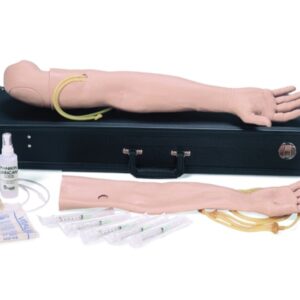 Laerdal Braccio Addestramento IV Multi-Venous Endovenoso - Maschile o Femminile - 1