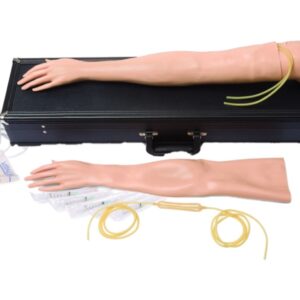 Laerdal Braccio Addestramento IV Multi-Venous Endovenoso - Maschile o Femminile - 2