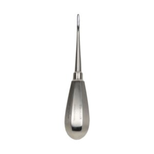 Leva per Radici Bein in Acciaio Inox - Misure 3-4 mm - 20 pezzi - 1