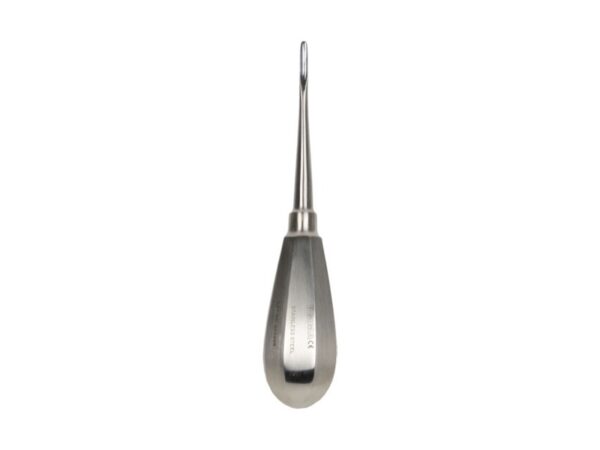 Leva per Radici Bein in Acciaio Inox - Misure 3-4 mm - 20 pezzi