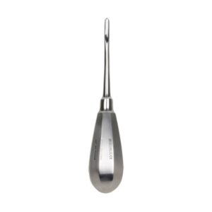 Leva per Radici Bein in Acciaio Inox - Misure 3-4 mm - 20 pezzi - 3