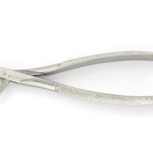 Pinza per Estrazione Dentale Inox - Arcata Inferiore - Figure 16-151 - 8 pz - 5